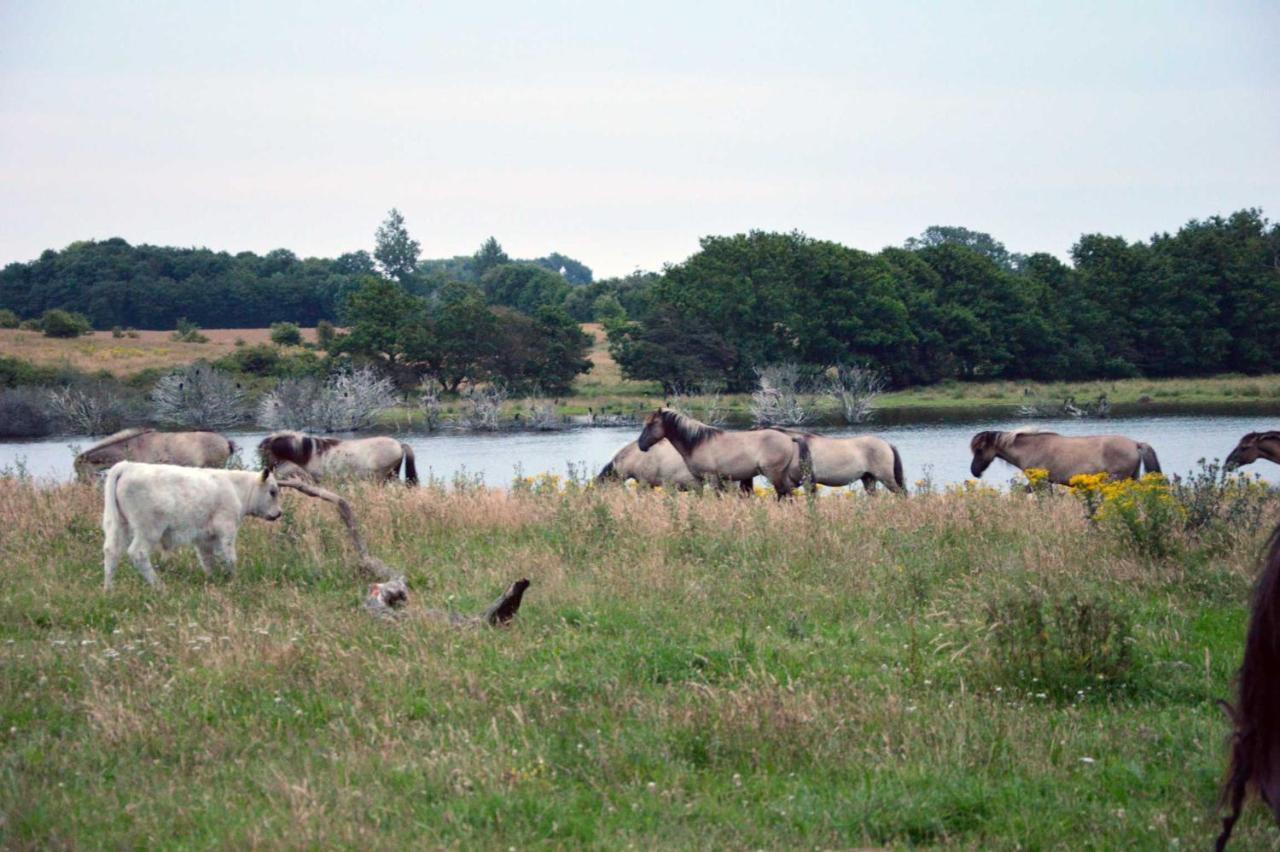 Kleine Ferienwohnung Gelting Buitenkant foto